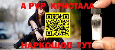 крисы Кунгур