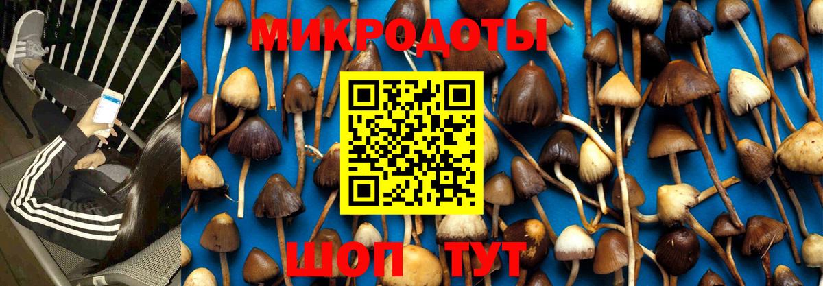 Каменск-Уральский  продажа наркотиков  Вход с VPN  Галлюциногенные грибы MAGIC MUSHROOMS 